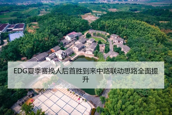 EDG夏季赛换人后首胜到来中路联动思路全面提升