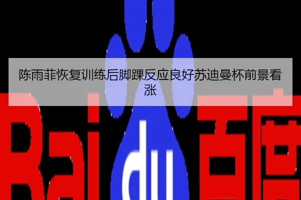 陈雨菲恢复训练后脚踝反应良好苏迪曼杯前景看涨