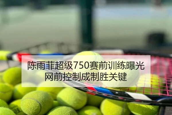 陈雨菲超级750赛前训练曝光 网前控制成制胜关键